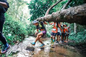 BIB: 
                            <button type="button" onclick="openModal(25372096)" class="btn btn-primary btn-sm float-right btn-popup" data-toggle="modal" data-target=".modal-high-quality">
                        <i class="fas fa-shopping-cart"></i> Add to Cart
                    </button>
                                            <button type="button" onclick="isThisMe(25372096, true)" class="btn btn-success btn-sm float-right btn-popup btn-isme hidden" data-toggle="tooltip" data-placement="bottom" title="นี่คือรูปของคุณใช่ไหม คลิกที่นี่เพื่อเอาเข้าอัลบั้ม">
                        <i class="fas fa-plus"></i> Add to album
                    </button>
                    <button type="button" onclick="isThisMe(25372096, false)" class="btn btn-warning btn-sm float-right btn-popup btn-isnotme hidden">
                        <i class="fas fa-ban"></i> Remove from album
                    </button>